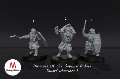 Dwarf Warriors - Dwarves of the Saphire Ridges