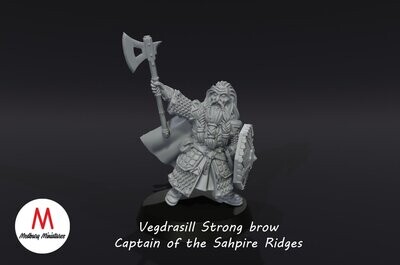 Captain Vegdrasill, Strong brow - Dwarves of the Saphire Ridges