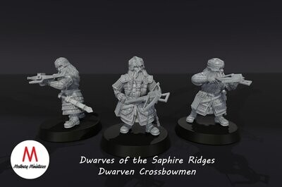 Dwarven Crossbowmen - Dwarves of the Saphire Ridges