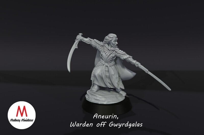 Aneurin, Warden of Gwyrdgalas