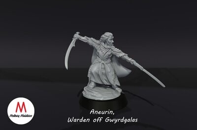 Aneurin, Warden of Gwyrdgalas