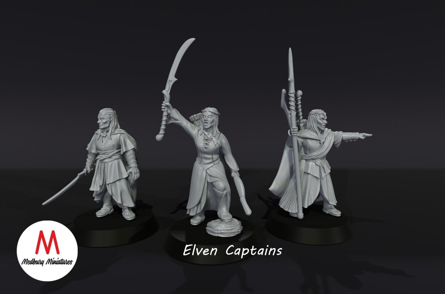Elven Captains of Gwyrdgalas