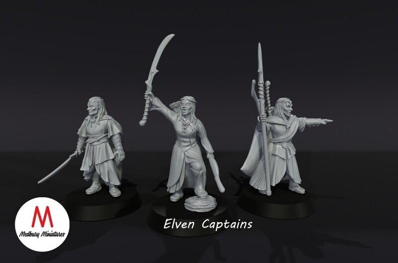 Elven Captains of Gwyrdgalas