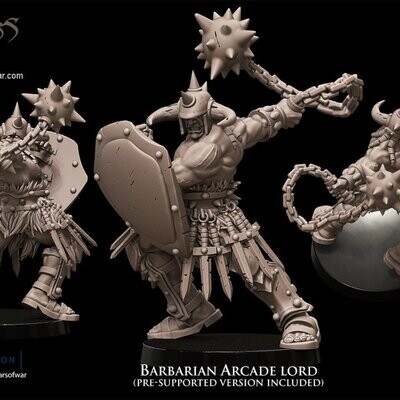 Barbarian Arcade Lord