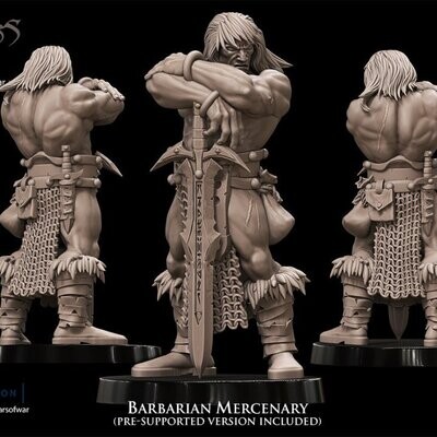 Barbarian Mercenary 1