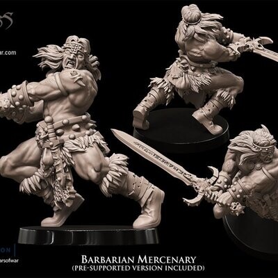 Barbarian Mercenary 2