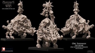 Orc Shaman on Boar