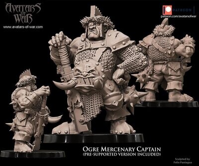 Ogre Mercenary Captain