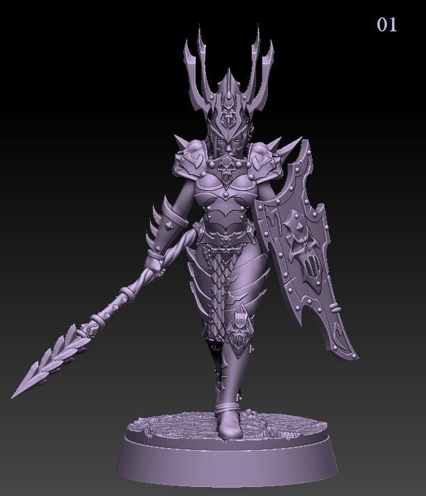 Dark Elf Princess - Lance + Shield