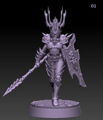 Dark Elf Princess - Lance + Shield