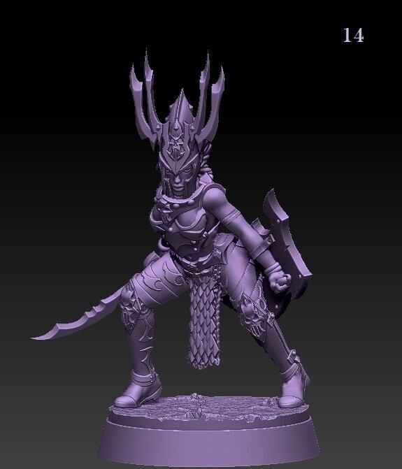 Dark Elf Princess - Sword + Shield