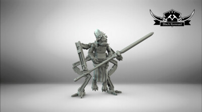 Fallen Mystical Warrior
