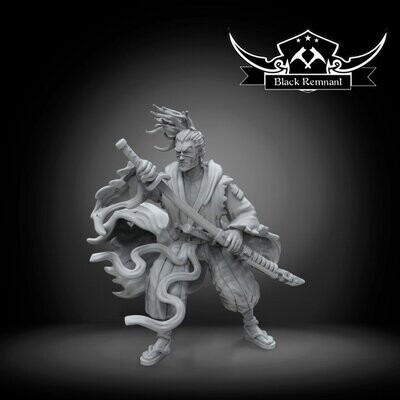 Ronin Master