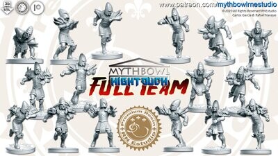 Fantasy Football Hightouch Elve Team
( 16 Miniatures)