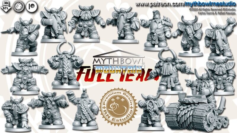 Fantasy Football Mountain Dwarfs
( 17 Miniatures )