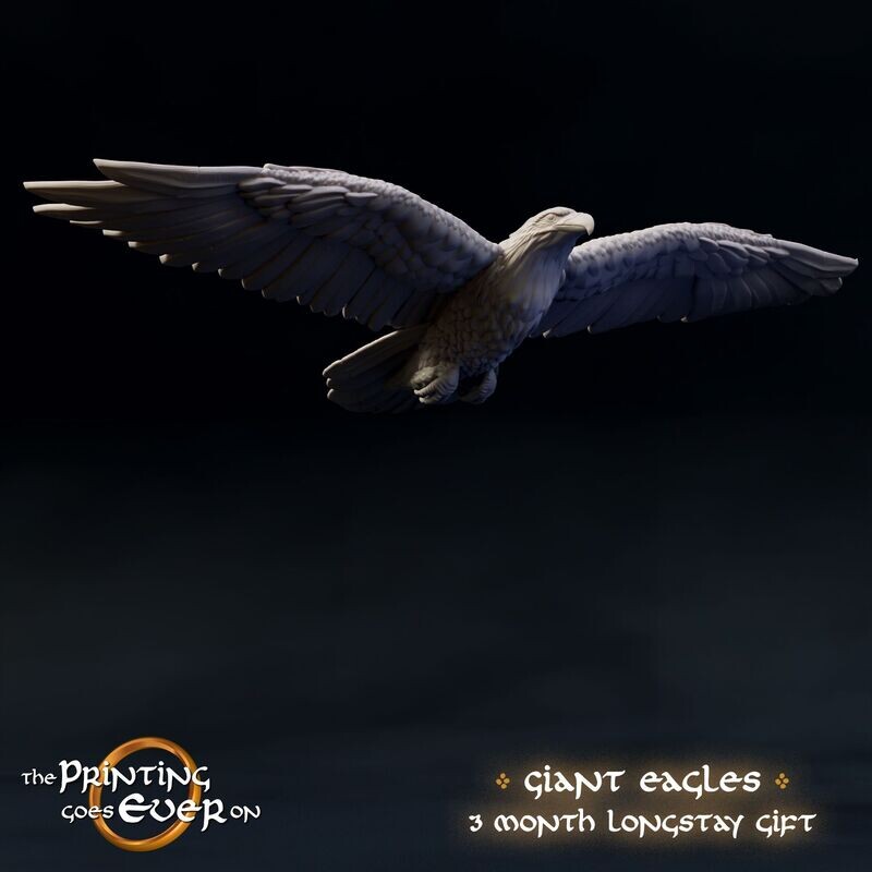 Eagle Flying