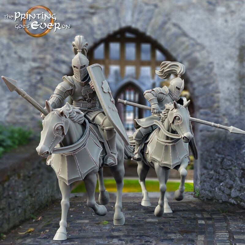 Knights (2 units)- "Chapter 26 - Soldiers of Gonthan"
