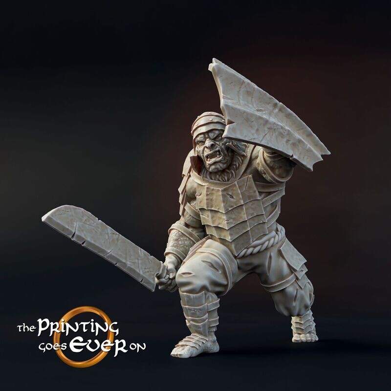 Orc Cleaver Shield C - "Chapter-21-Forces of Torr Mislar"
