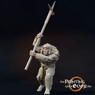 Orc Polearm B - "Chapter-21-Forces of Torr Mislar"