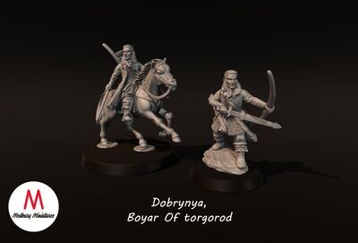 Dobrynya, Boyar Of torgorod
