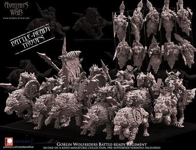 Goblin Wolfriders Battle-Ready regiment