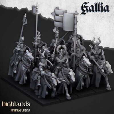 Knights of Gallia (pack 5 units)