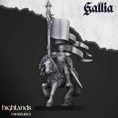 Baroness of Gallia - on foot and mounted