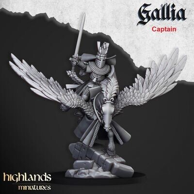 Gallia Knigths on Pegasus