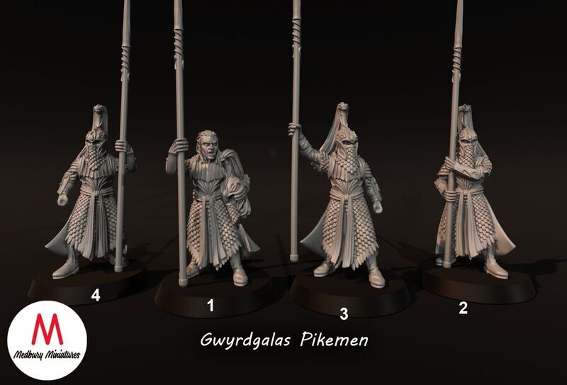 Elves of Gwyrdgalas - Pikemen (pack 4 units)