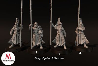 Elves of Gwyrdgalas - Pikemen (pack 4 units)