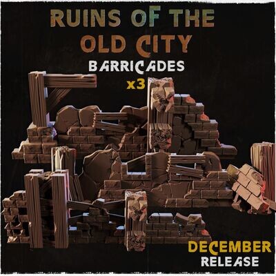 Ruins of the old city - Barricades