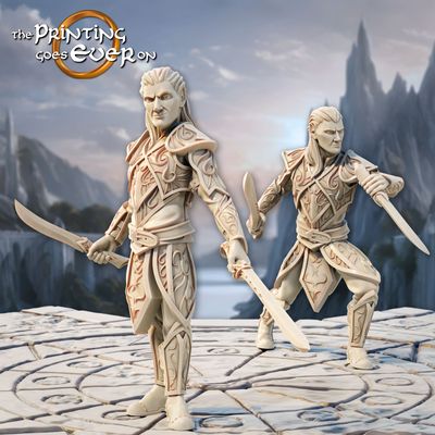 Chapter 43 - Silver Shores - Elven Duelists (pack 2 units)
