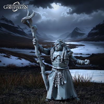 Chapter 47 - Tales of the Northern Kingdom Vol.2 - Ironmoor Orc Shaman