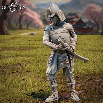 Ashigaru Captain- "Chapter 51-Tales Of The Jade Empire"