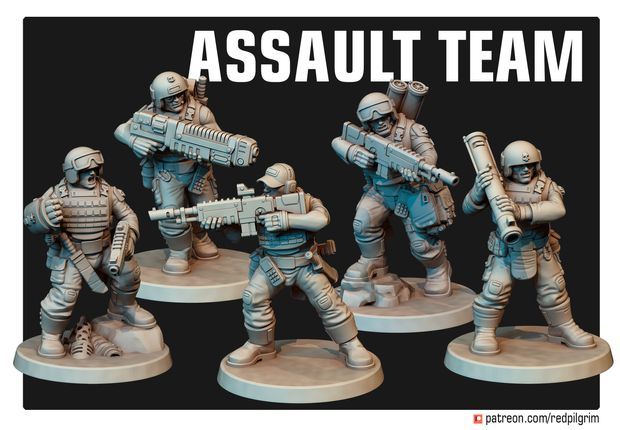 Assault Team (pack 5 units ) Assault Team (pack 5 units )