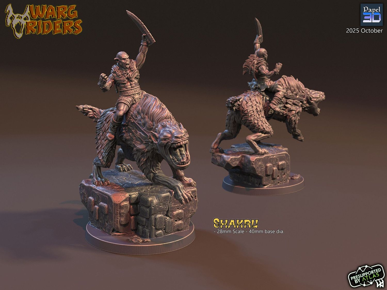 Shaman Rider Shaman Rider