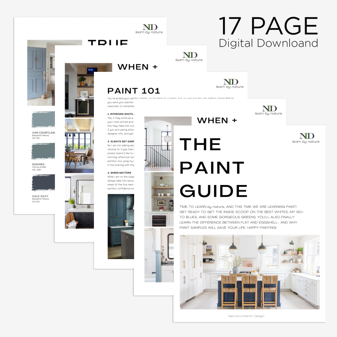 The Paint Guide
