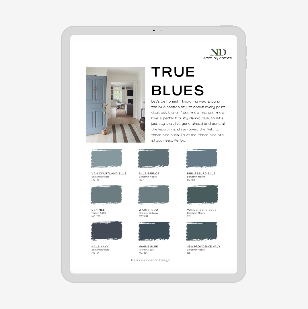 The Paint Guide