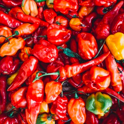 Sambal