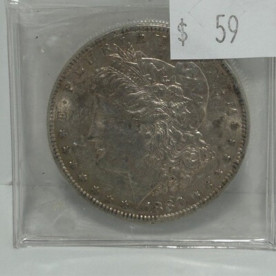 1880 Morgan Silver Dollar in clear foldable case