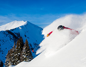 Aspen Snowmass Silver (ages 70+) Premiere Season Pass