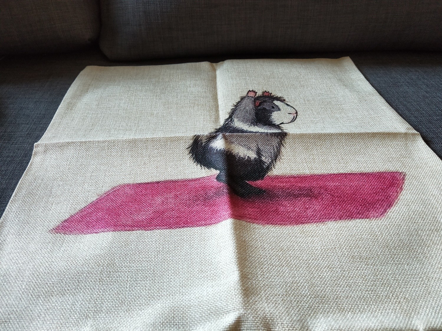 Guinea Pig Cushion  Cover 1