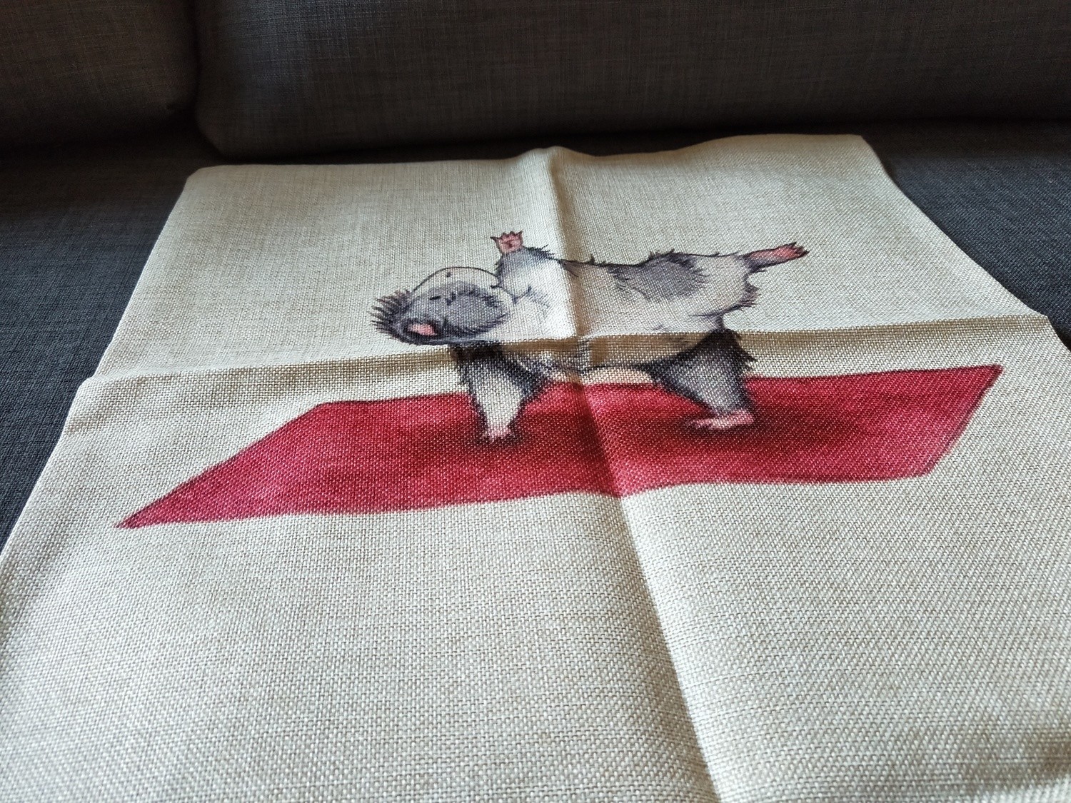 Guinea Pig Cushion  Cover 2
