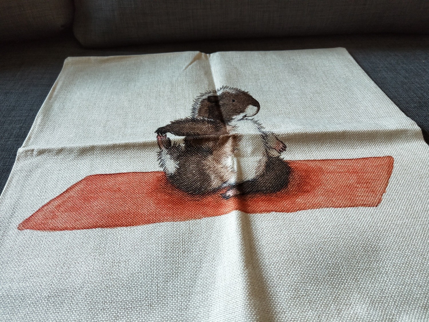 Guinea Pig Cushion  Cover 3