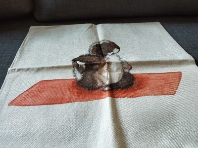 Guinea Pig Cushion  Cover 3
