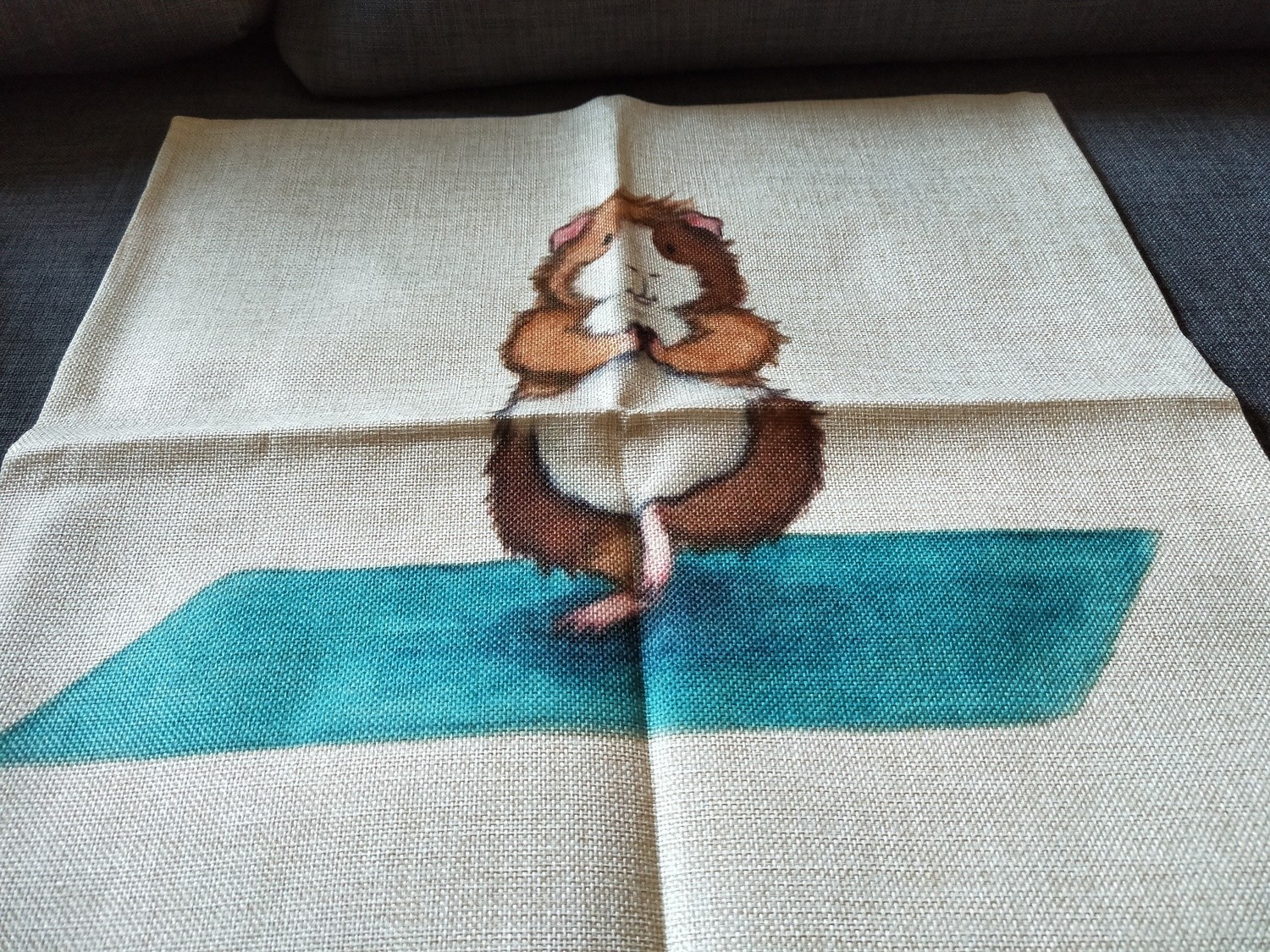 Guinea Pig Cushion  Cover 4