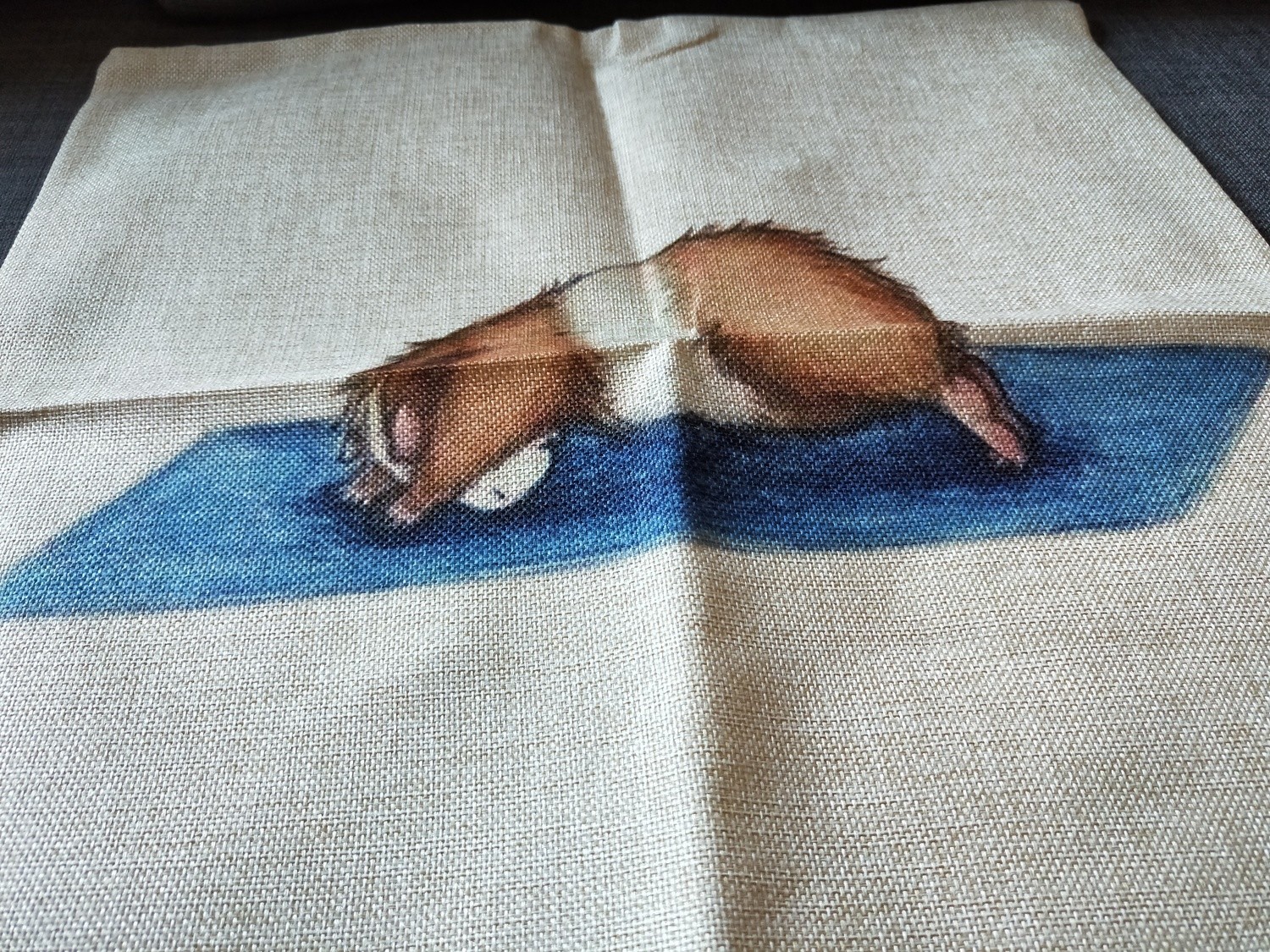 Guinea Pig Cushion  Cover 5