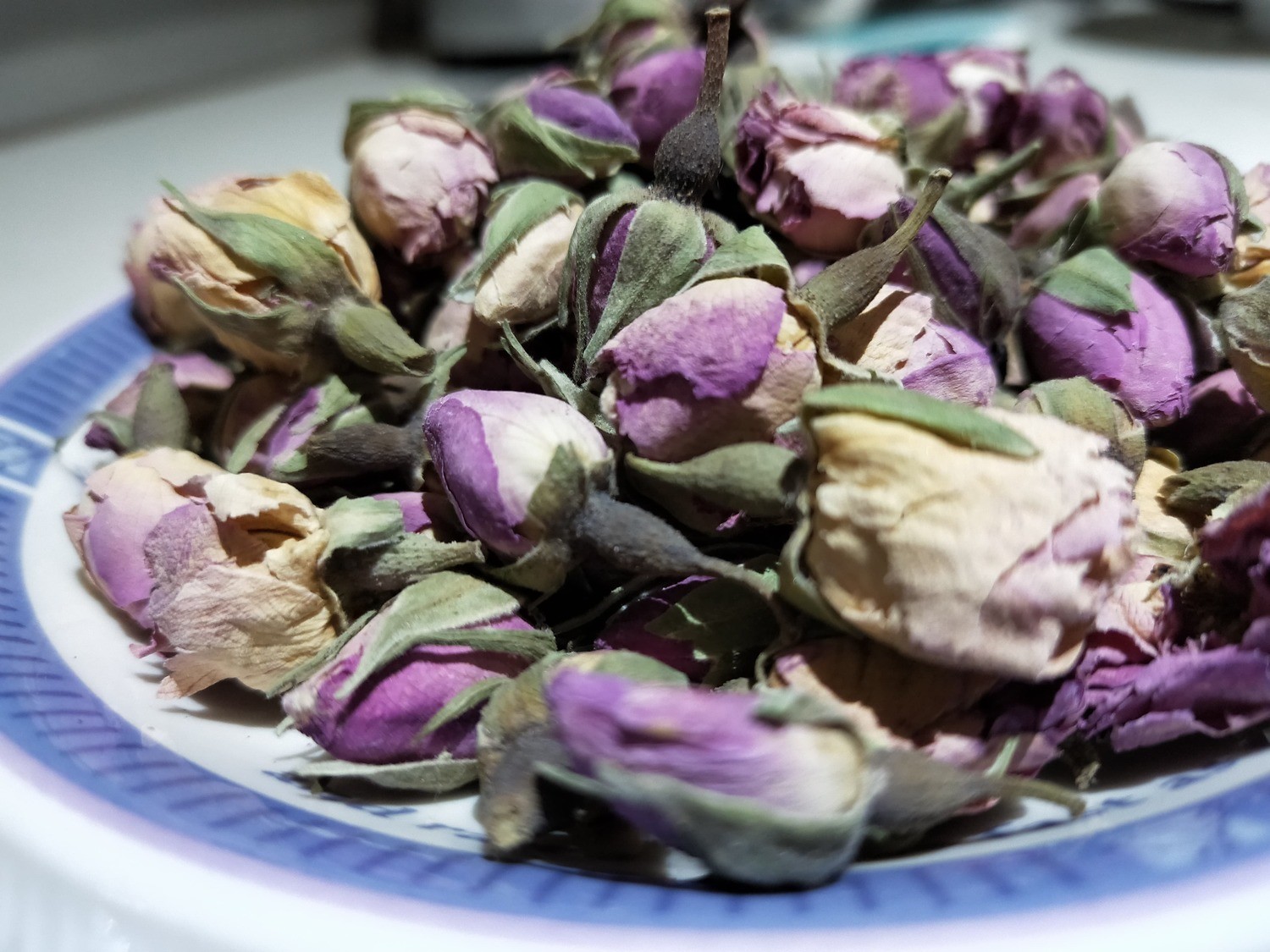 Pink Rose Buds