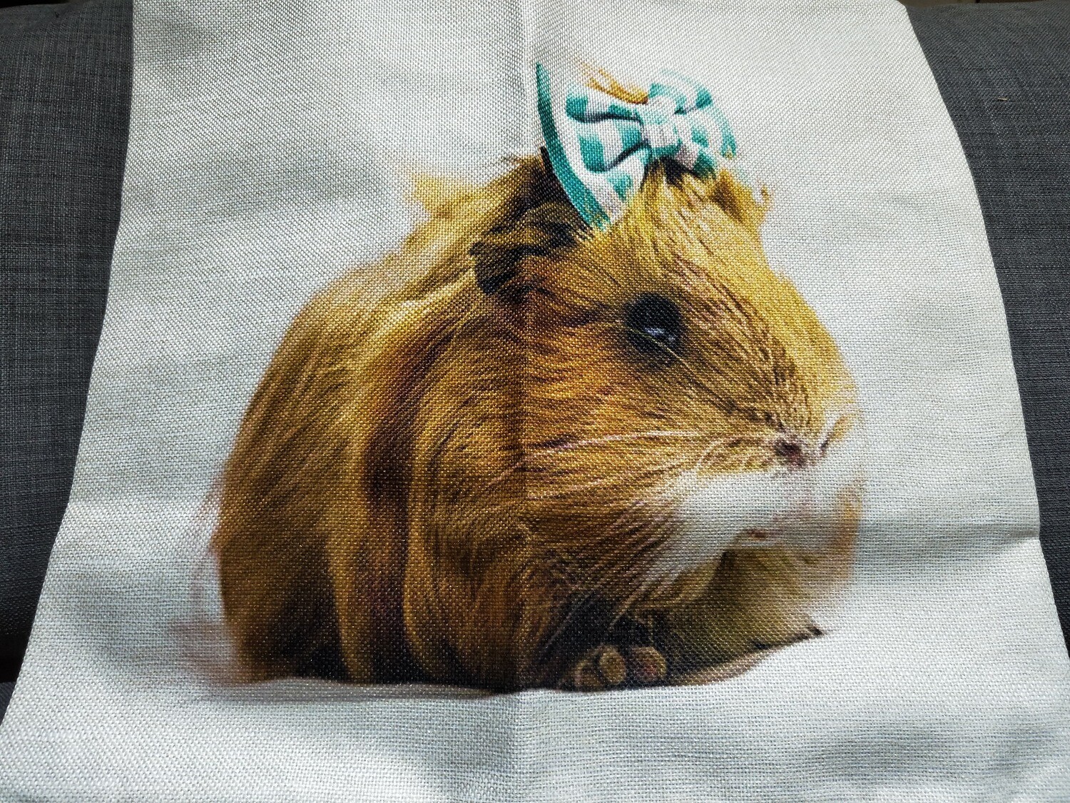 Guinea Pig Cushion  Cover 9