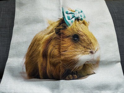 Guinea Pig Cushion  Cover 9